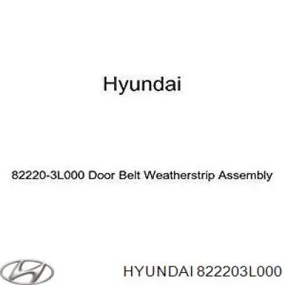 822203L000 Hyundai/Kia 