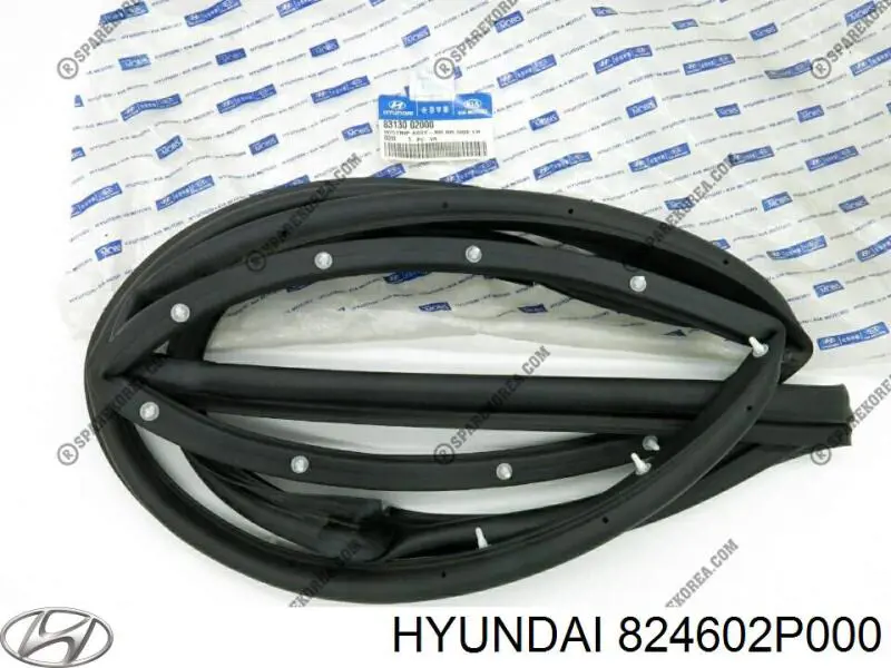 Мотор стеклоподъемника двери передней правой Hyundai/Kia 824602P000 цена, от 19.00 USD