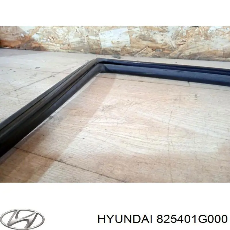 Направляющая стекла рамки двери, переднего правая Hyundai/Kia 825401G000 цена, от 77.55 USD