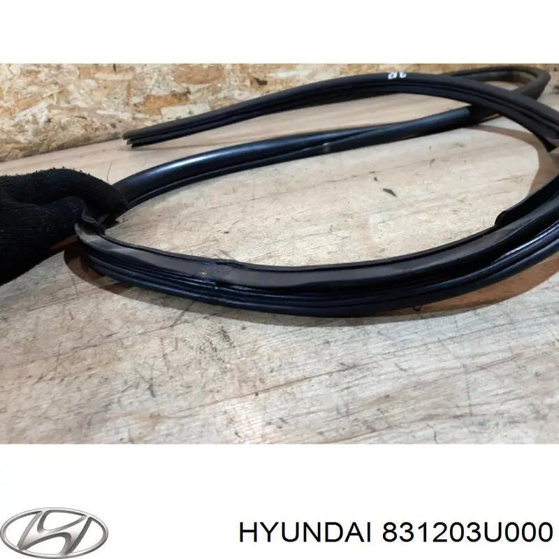 Уплотнитель двери задней правой (на кузове) Hyundai/Kia 831203U000 цена, от 80.07 USD