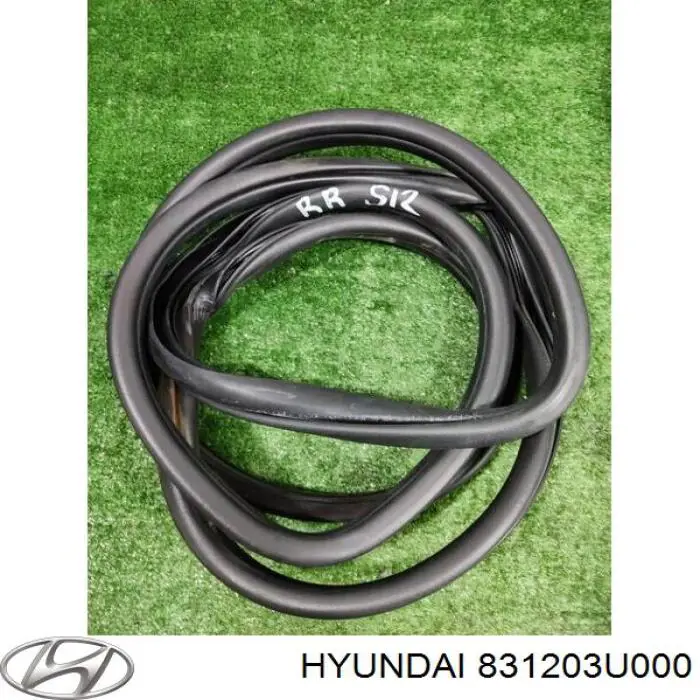 Купить 831203U000 Hyundai/Kia Уплотнитель двери задней правой (на кузове)