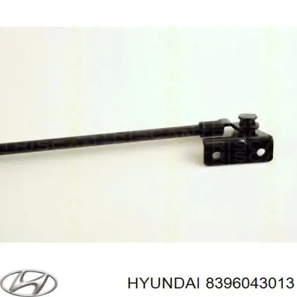  8396043013 Hyundai/Kia