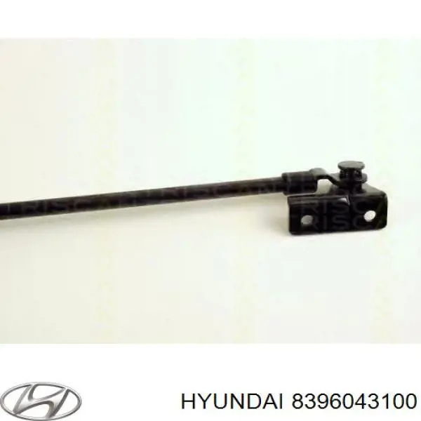 8396043100 Hyundai/Kia амортизатор багажника