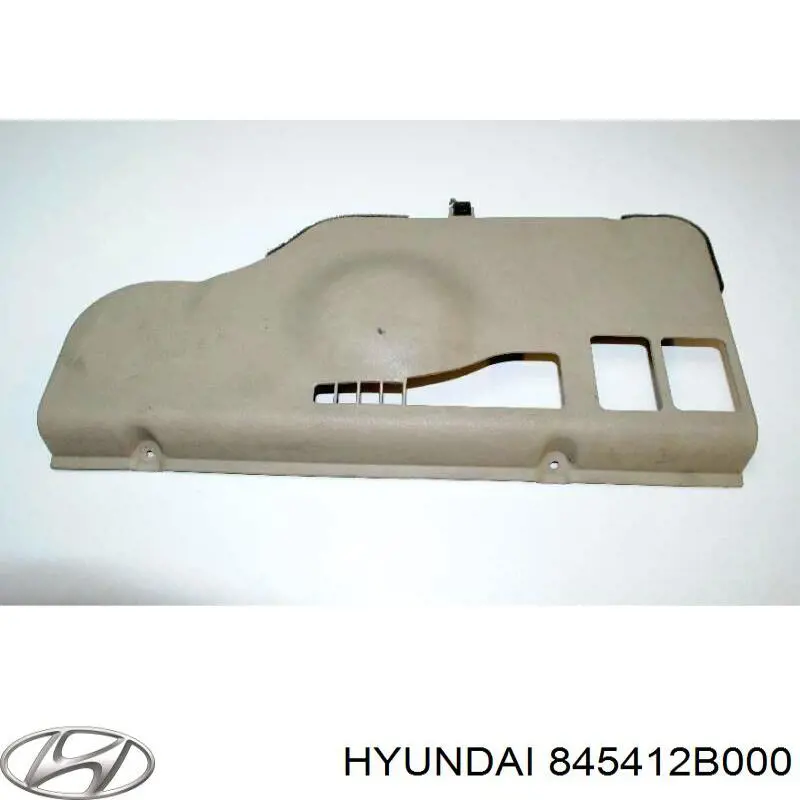 845412B000 Hyundai/Kia 