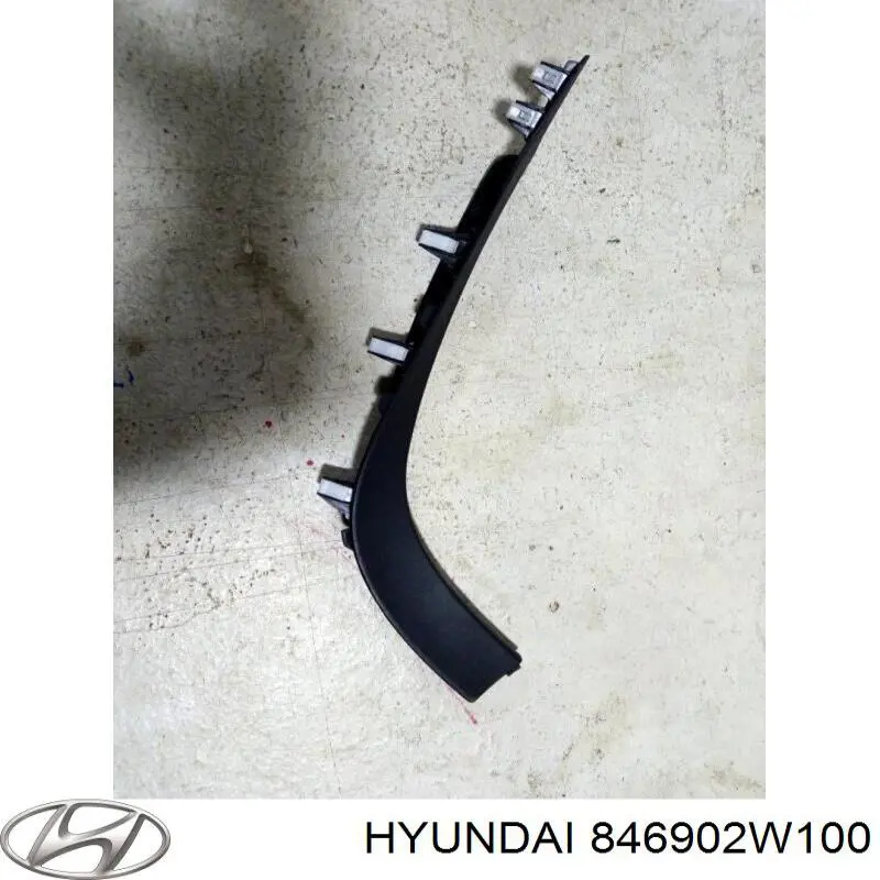 846902W100 Hyundai/Kia 