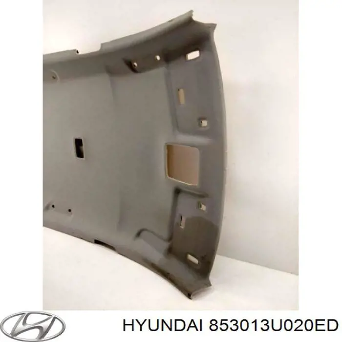  853013U020ED Hyundai/Kia