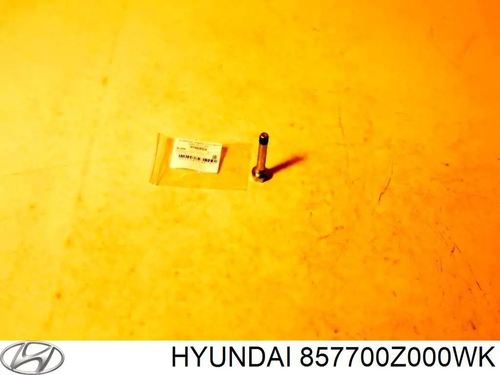 857701F000WK Hyundai/Kia Накладка задней панели багажника