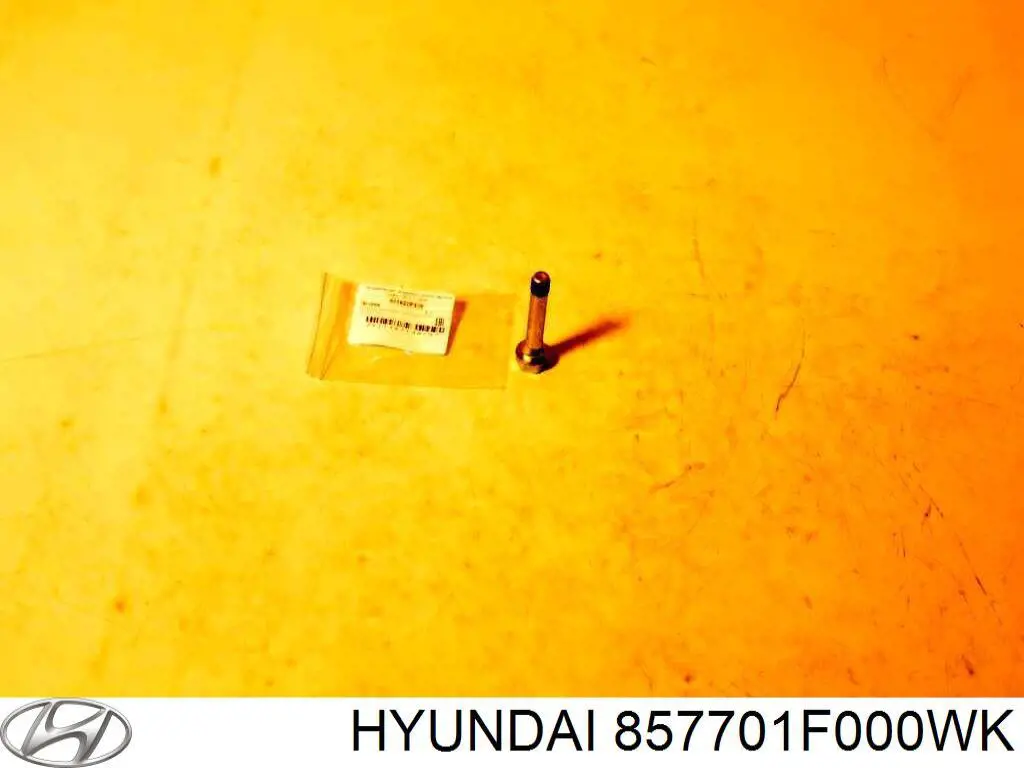 Облицовка задней панели багажника Hyundai/Kia 857701F000WK цена, от 15.20 USD