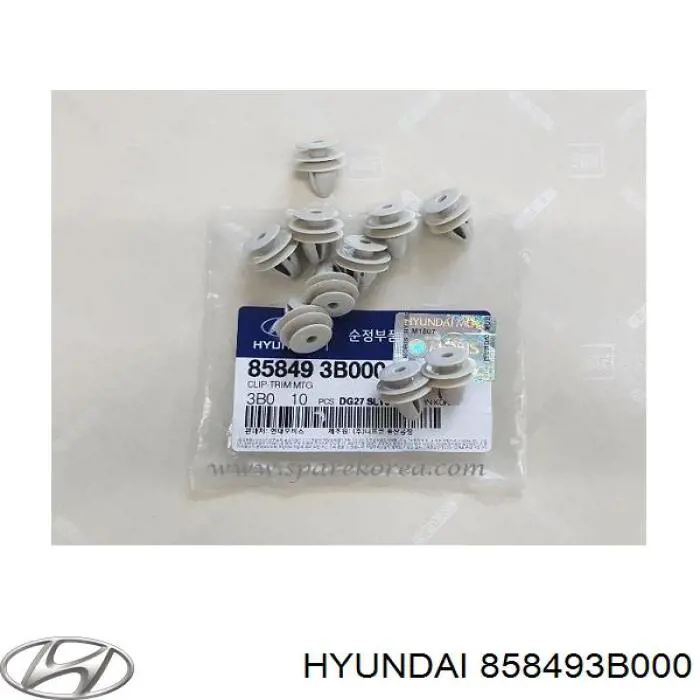 858493B000 Hyundai/Kia 