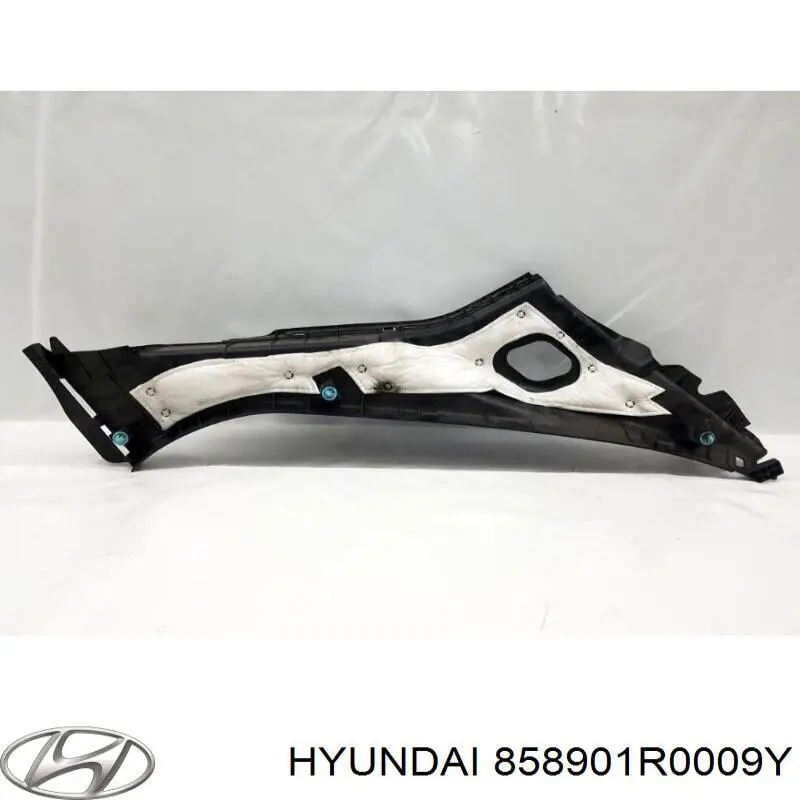  858901R0009Y Hyundai/Kia