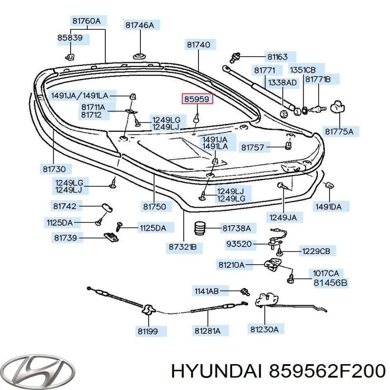  859562F200 Hyundai/Kia