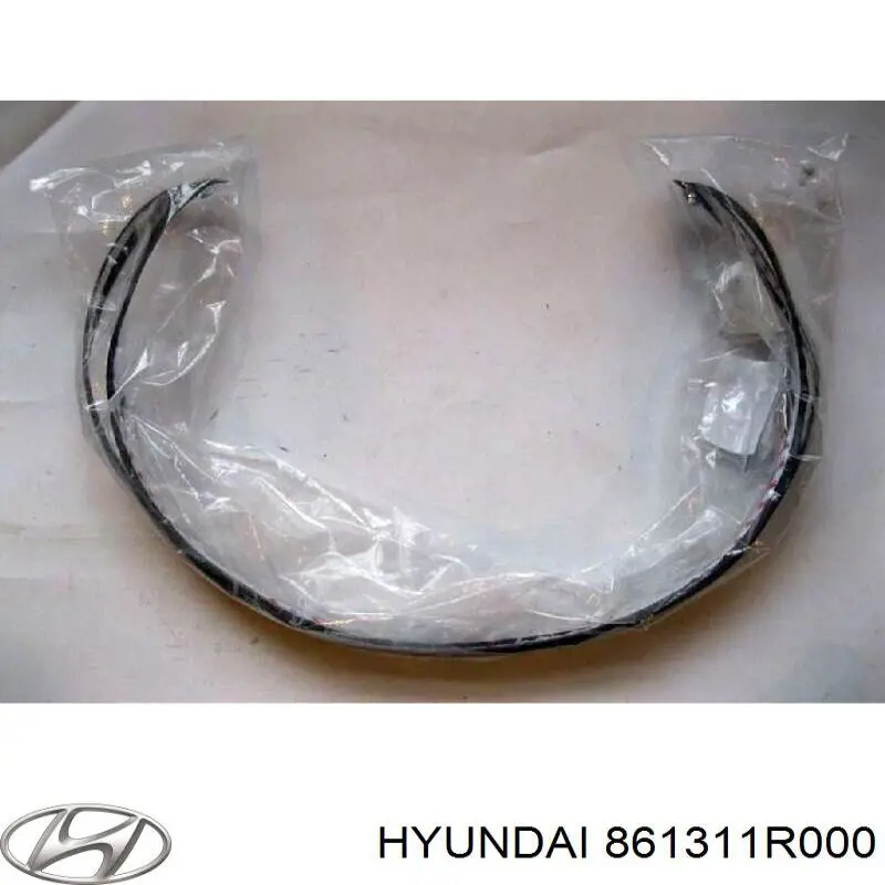 Уплотнитель лобового стекла Hyundai/Kia 861311R000 цена, от 24.15 USD
