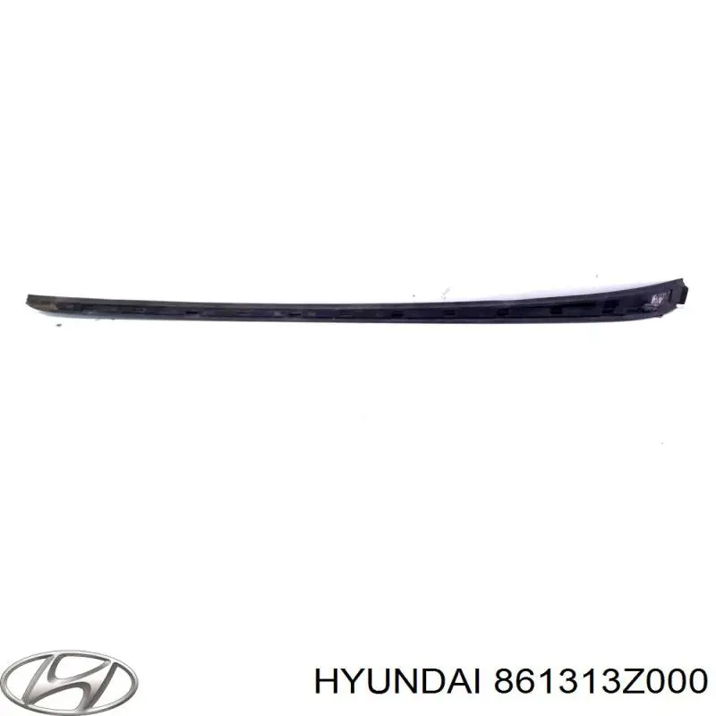  861313Z000 Hyundai/Kia