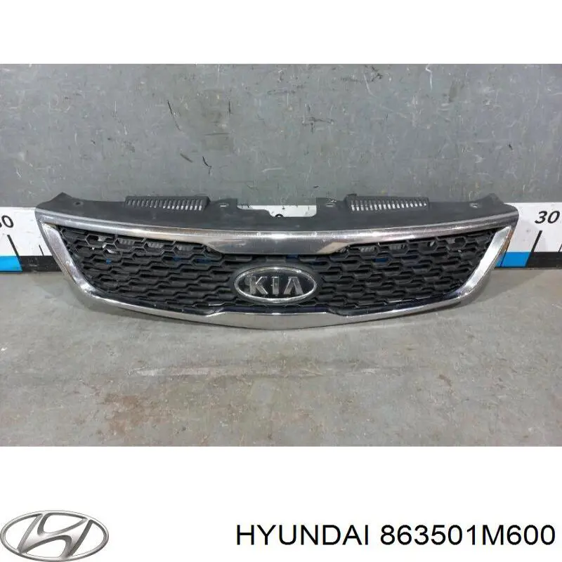 Облицовка радиатора Hyundai/Kia 863501M600 цена, от 23.88 USD