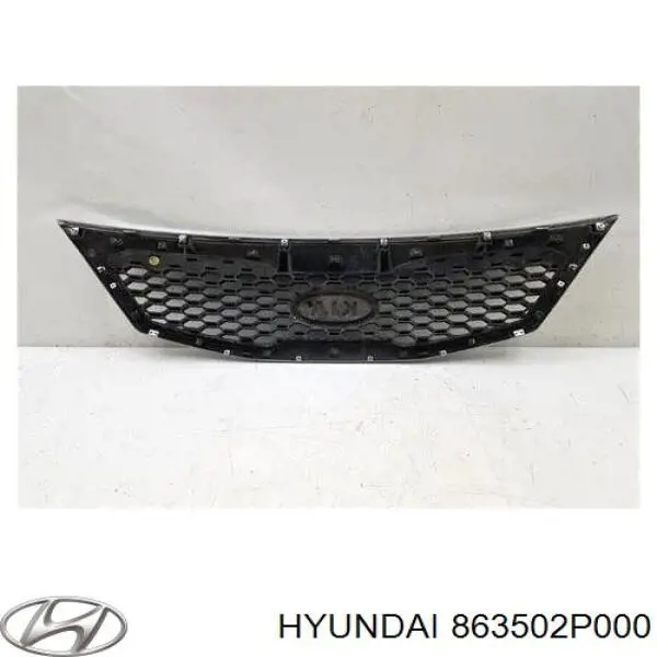 Купить 863502P000 Hyundai/Kia Решетка радиатора