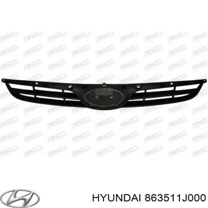 Grelha do radiador para Hyundai I20 (PB)