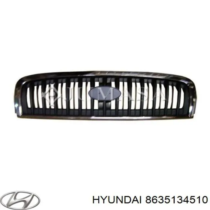 Решетка радиатора на Hyundai Sonata (Хундай Соната)