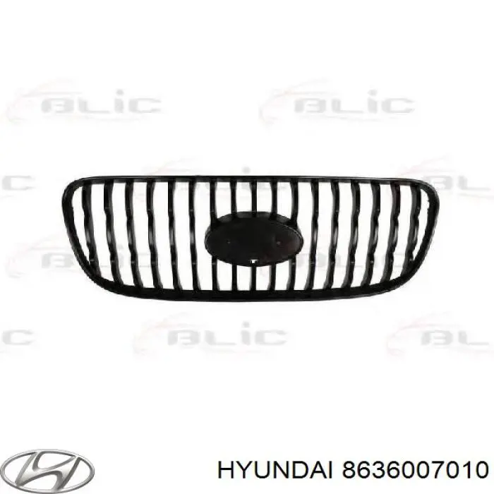 8636007010 Hyundai/Kia Решетка радиатора