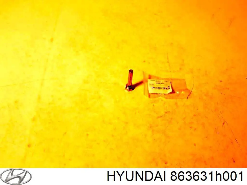 863631H001 Hyundai/Kia 