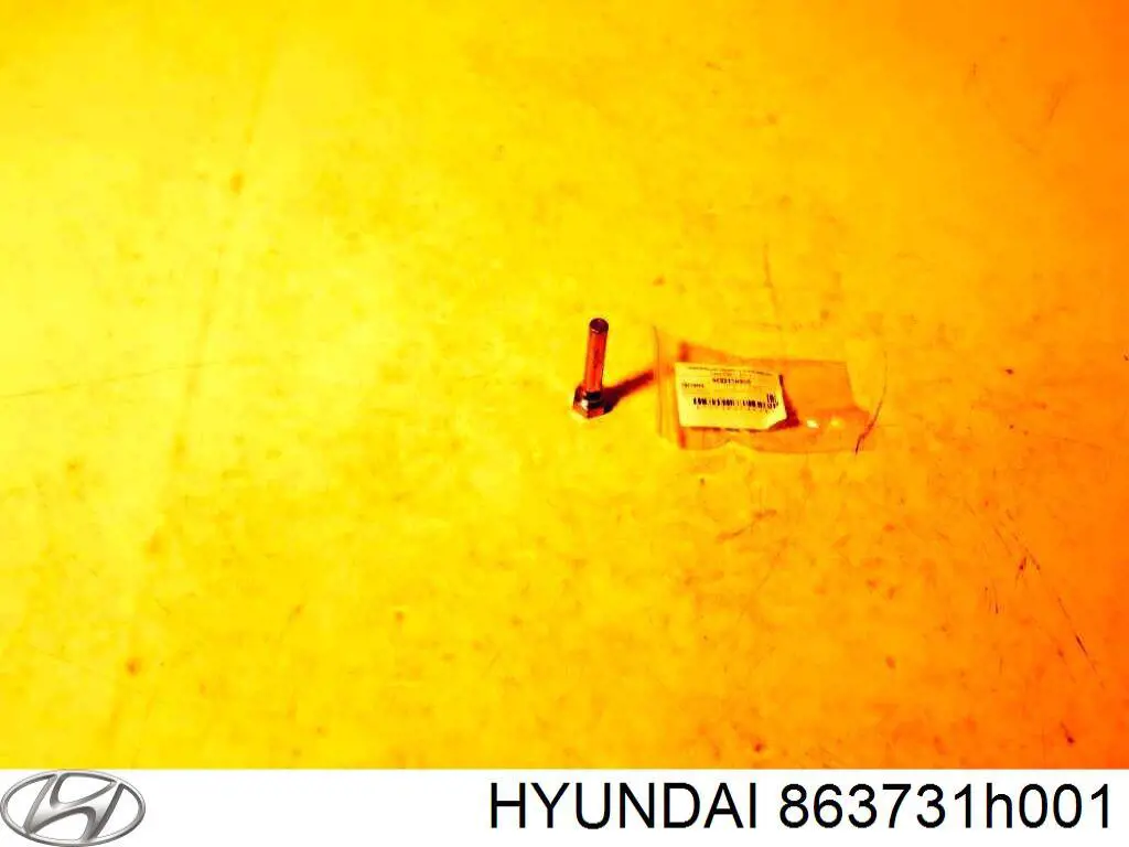 863731H001 Hyundai/Kia 