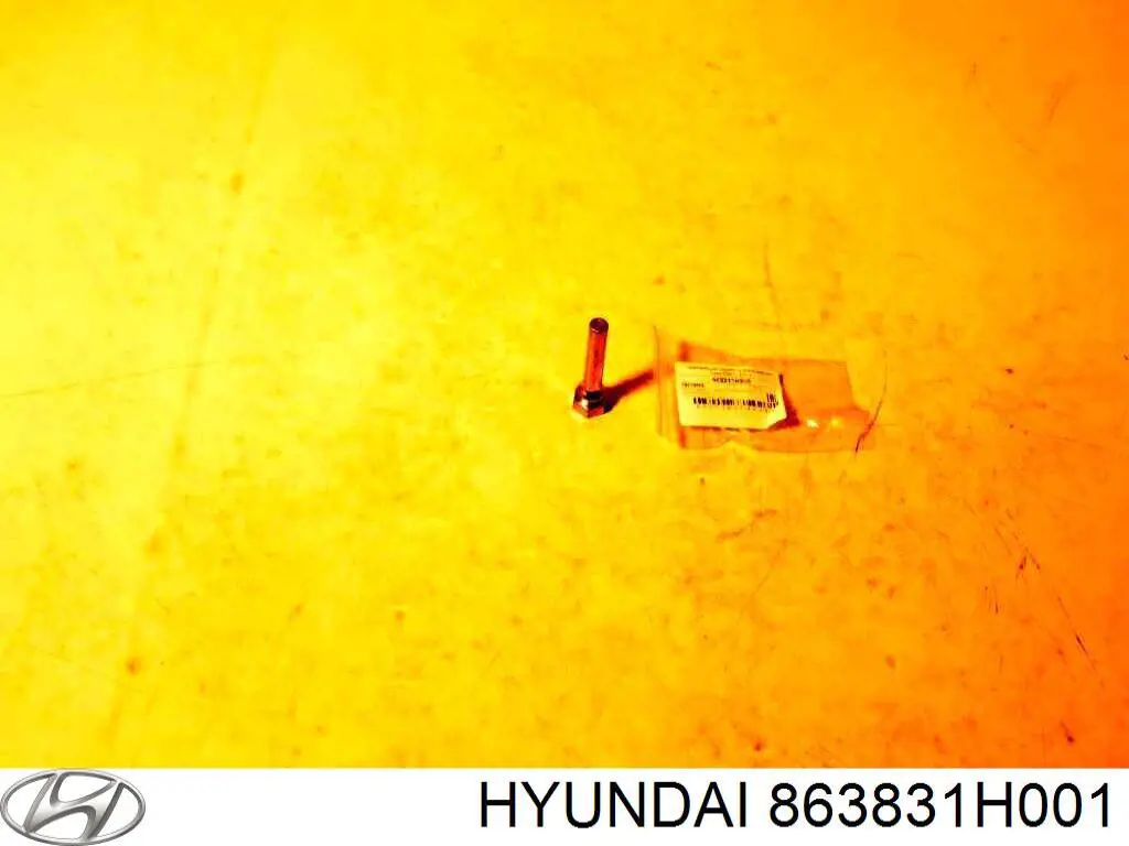Купить 863831H001 Hyundai/Kia 
