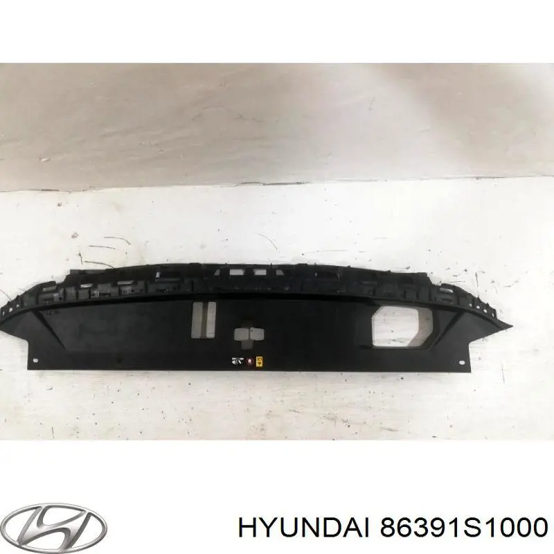86391S1000 Hyundai/Kia 