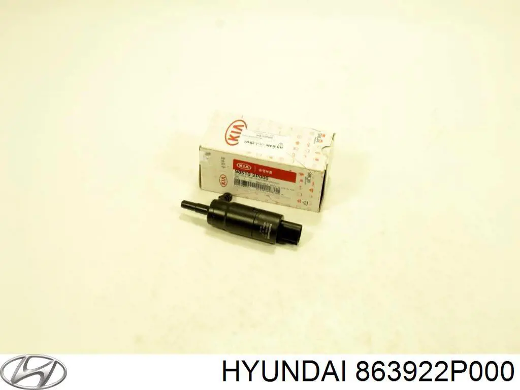 863922P000 Hyundai/Kia 