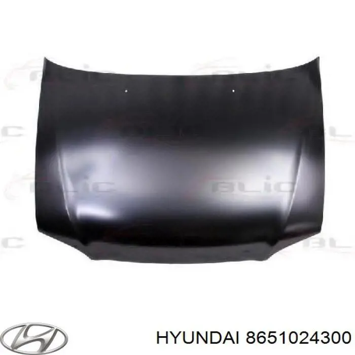 8651024300 Hyundai/Kia Бампер передний в сборе