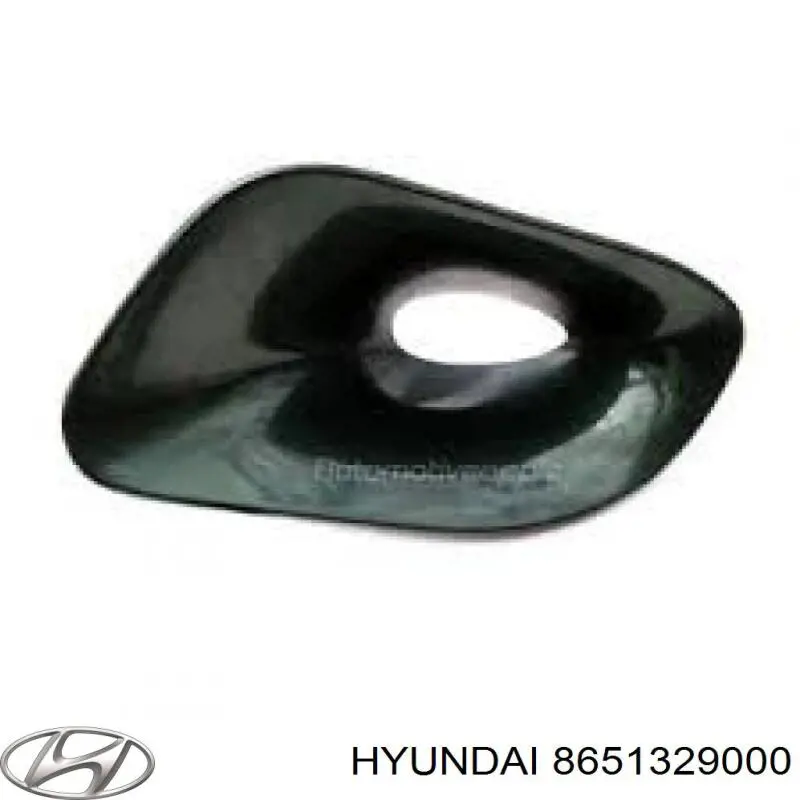 8651329000 Hyundai/Kia заглушка (решетка противотуманных фар бампера переднего правая)