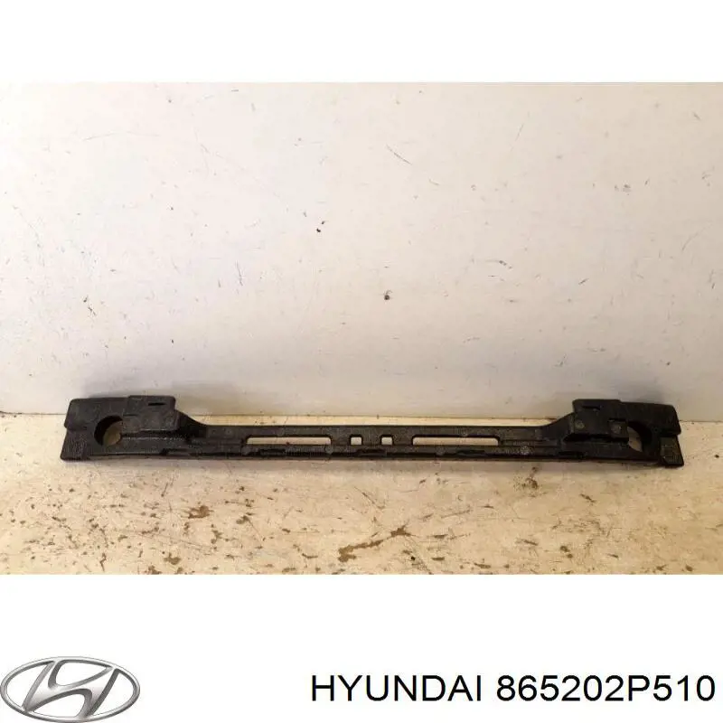 865202P510 Hyundai/Kia