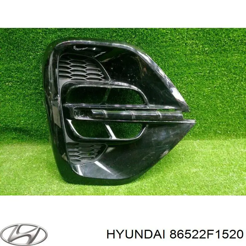 86522F1520 Hyundai/Kia Заглушка ПТФ бампера переднего правая