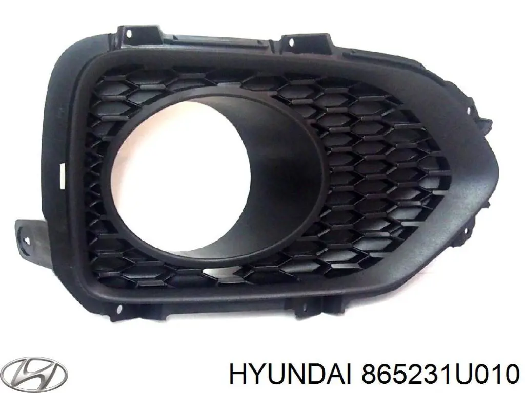 865231U010 Hyundai/Kia Заглушка противотуманок, левая