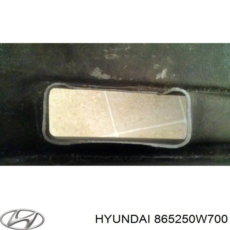 Купить 865250W700 Hyundai/Kia 