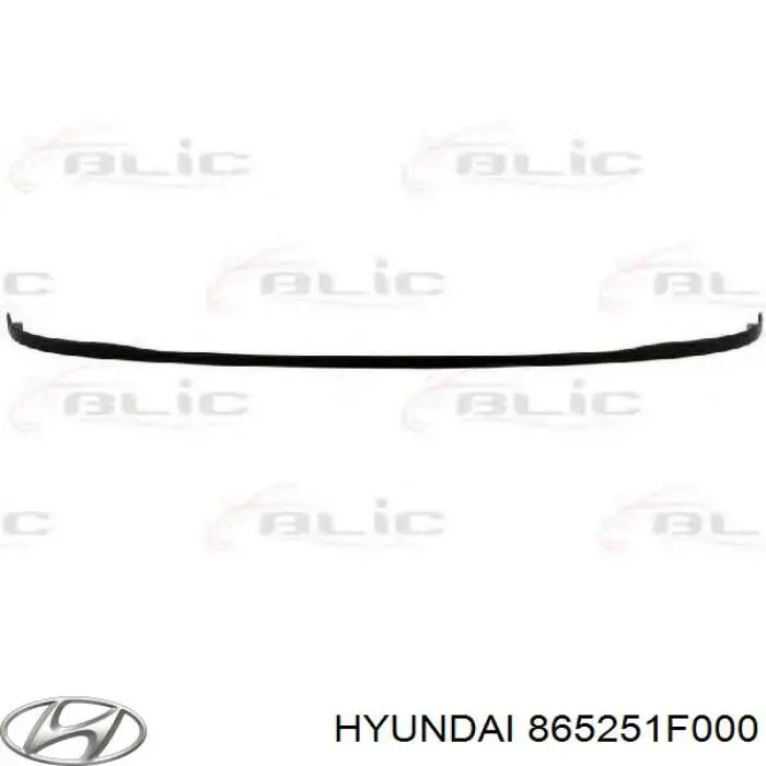 Спойлер переднего бампера Hyundai/Kia 865251F000 цена, от 7.85 USD