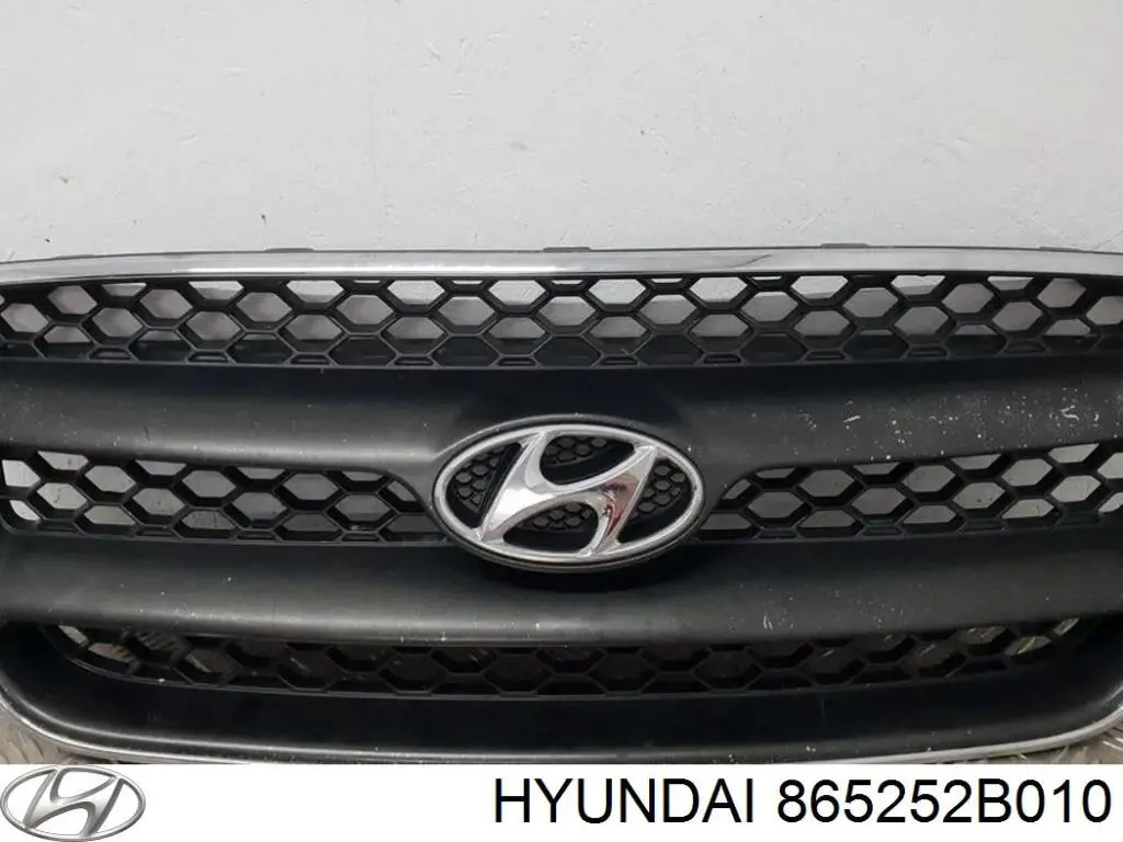 Накладка бампера переднего на Hyundai Santa Fe II 