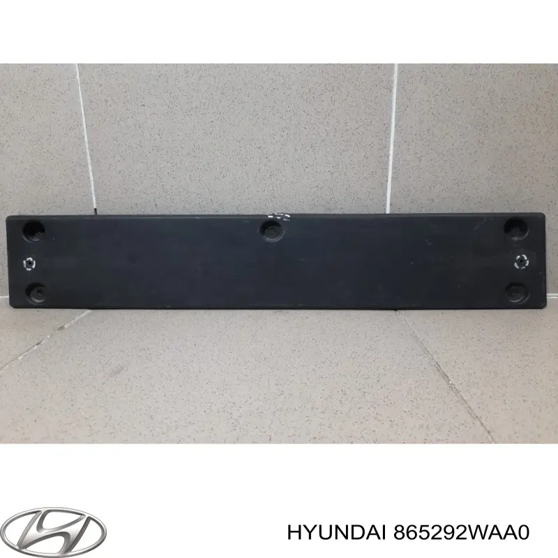 Painel de fixação de matrícula dianteira para Hyundai Santa Fe (DM)