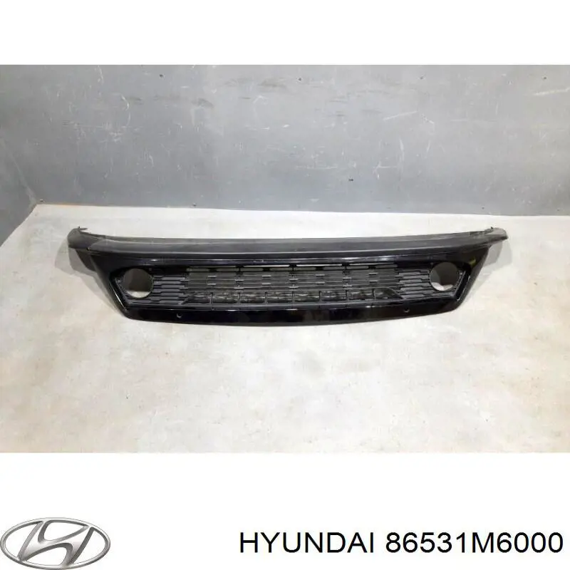 Решетка бампера переднего центральная Hyundai/Kia 86531M6000 цена, от 22.57 USD