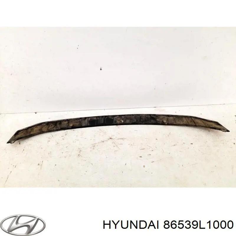 86539L1000 Hyundai/Kia 