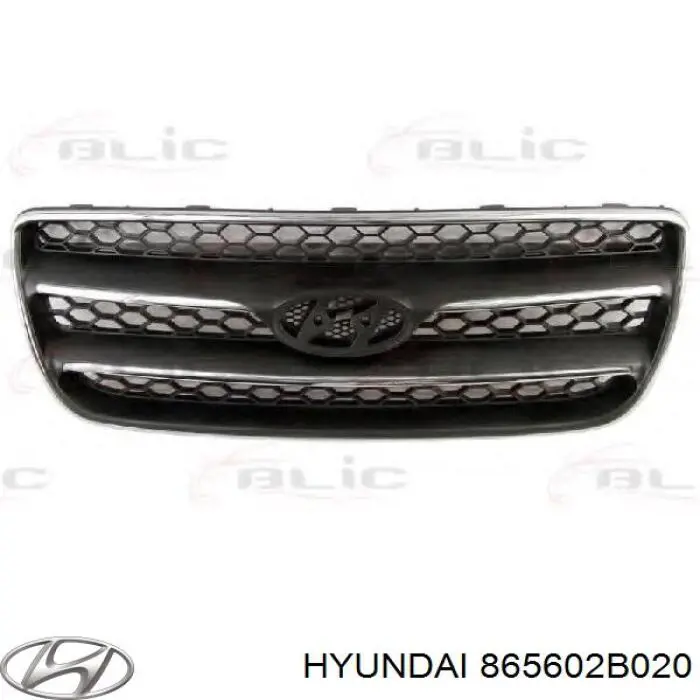 Облицовка радиатора Hyundai/Kia 865602B020 цена, от 50.96 USD