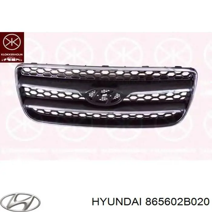 Решетка радиатора 865602B020 Hyundai/Kia