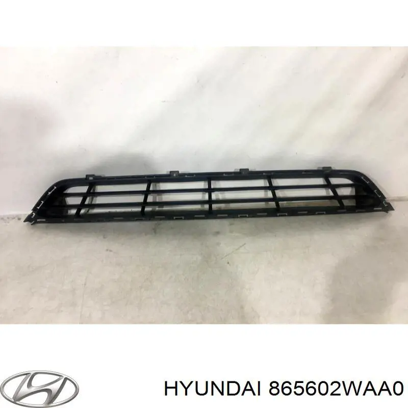 865602WAA0 Hyundai/Kia