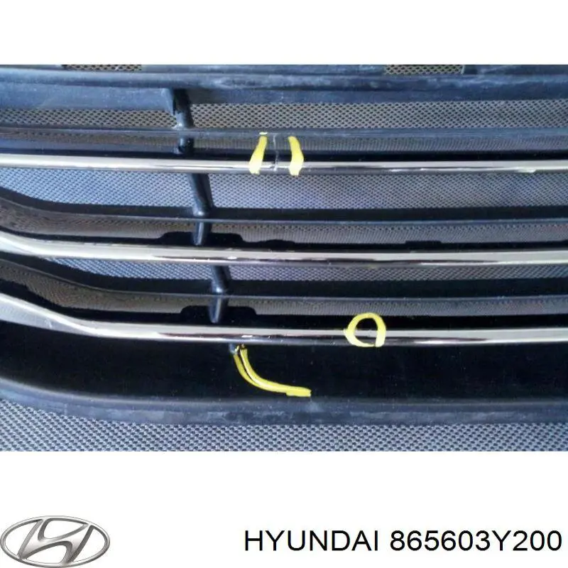 865603Y200 Hyundai/Kia 