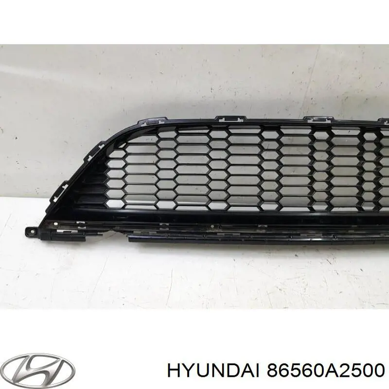 Купить 86560A2500 Hyundai/Kia Решетка переднего бампера, центральная