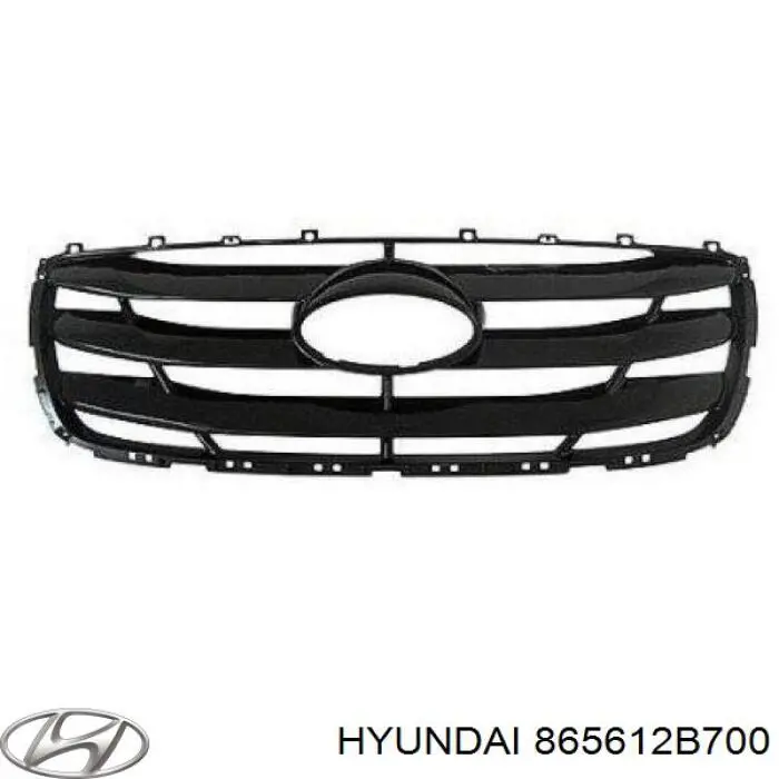 Облицовка радиатора Hyundai/Kia 865612B700 цена, от 35.62 USD