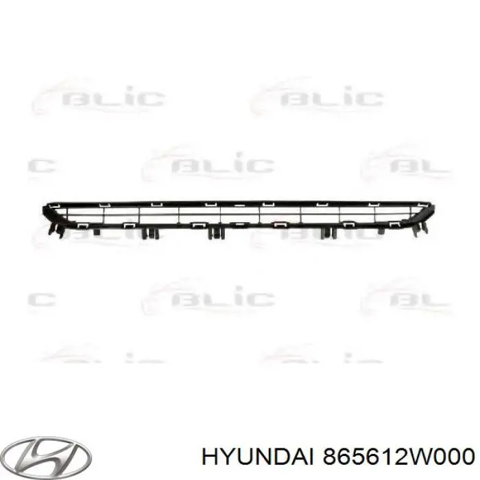 Решетка бампера на Hyundai Santa Fe III 