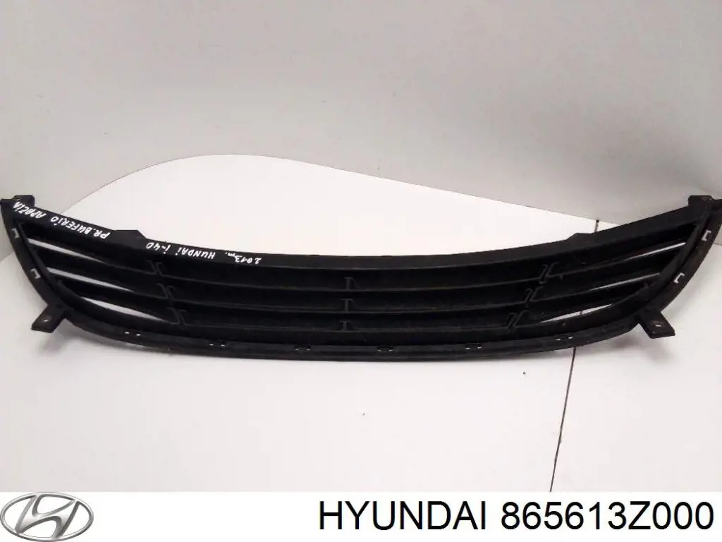  865613Z000 Hyundai/Kia