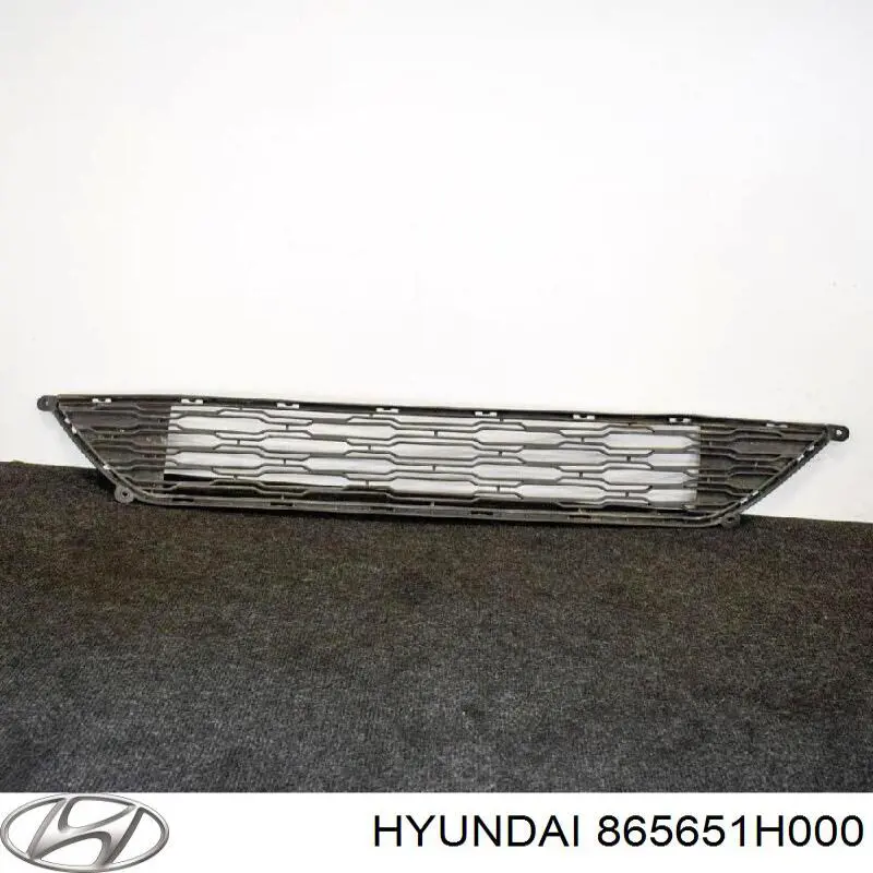 Заглушка ПТФ бампера переднего левая Hyundai/Kia 865651H000 цена, от 12.67 USD