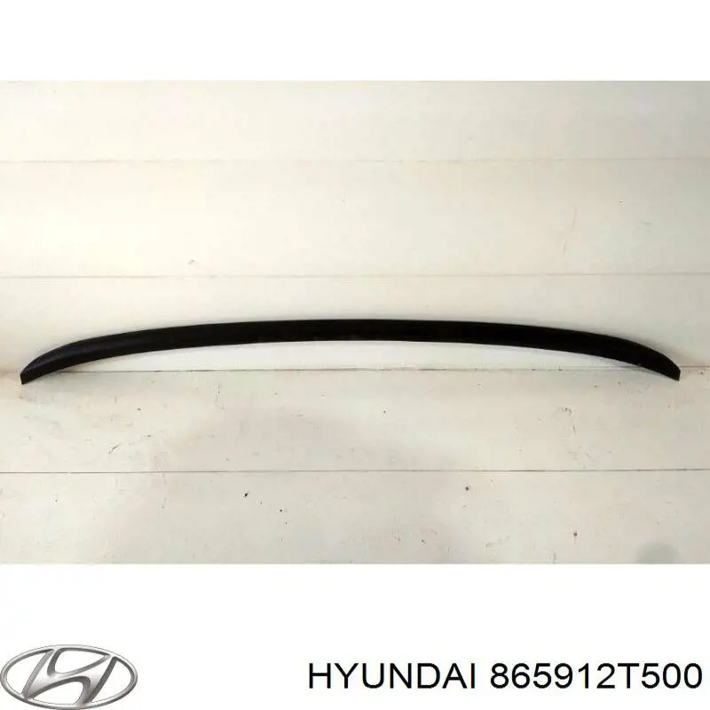 Спойлер переднего бампера Hyundai/Kia 865912T500