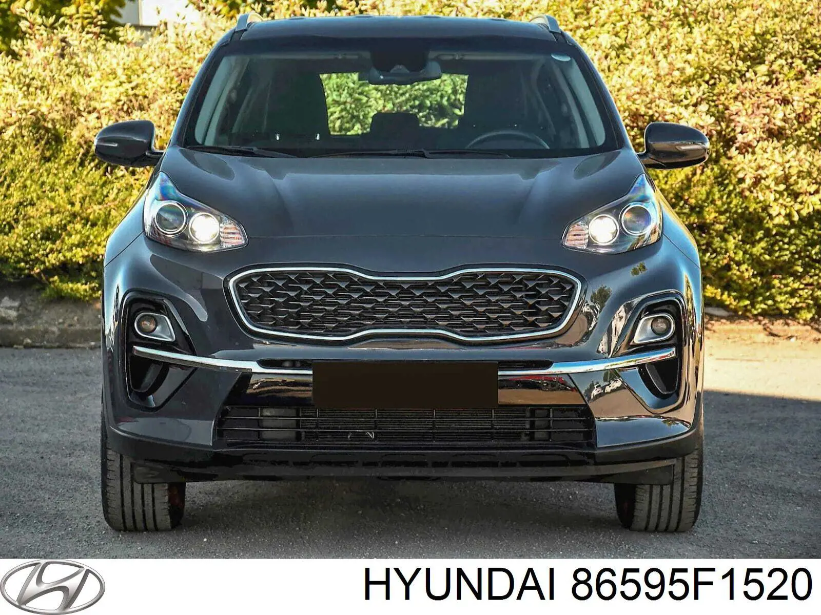 Купить 86595F1520 Hyundai/Kia 