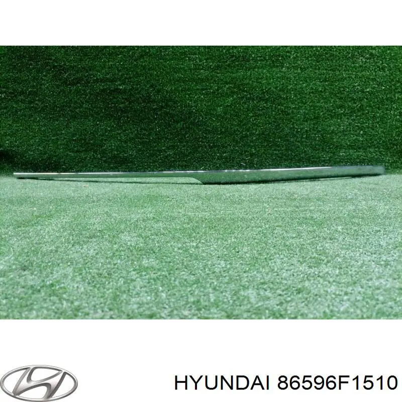 Молдинг бампера переднего правый Hyundai/Kia 86596F1510 цена, от 94.27 USD